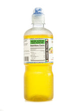 Load image into Gallery viewer, Drinkmate Italian Ginger Lemon Premium Syrup

